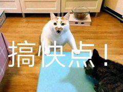 终于苹果首个第三方应用商店上线了！(图8)