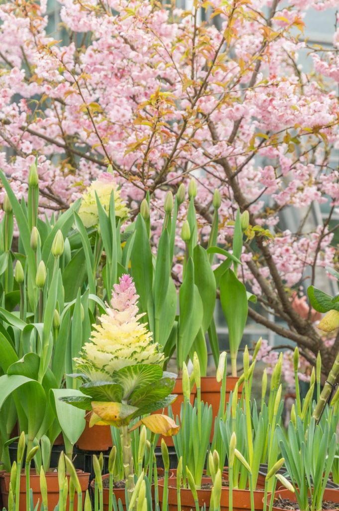 2025重庆端午节免费活动汇总（持续更新）(图2)