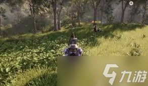 荒野起源攻略是什么